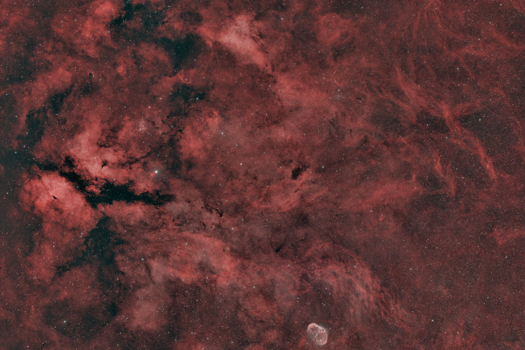 γ Cygni Nebula